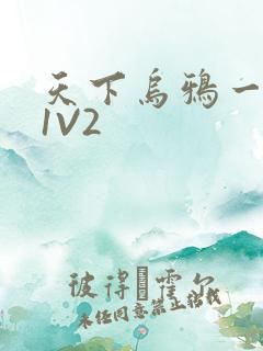 天下乌鸦一般黑1V2