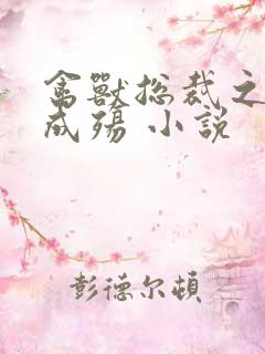 禽兽总裁之虐爱成殇 小说