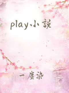 play小说
