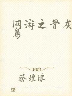 网游之骨灰级菜鸟