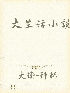 大生活小说