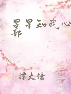 星星知我心第二部