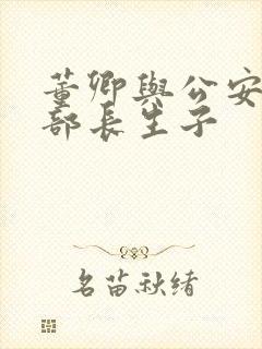 董卿与公安部副部长生子