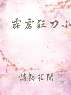 霹雳狂刀小说
