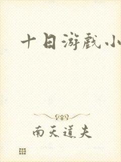 十日游戏小说