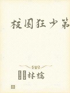 校园狂少第二部