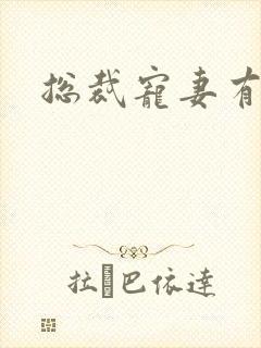 总裁宠妻有点忙