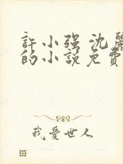 许小强 沈丽娟的小说免费阅读