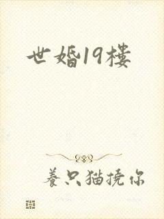 世婚19楼