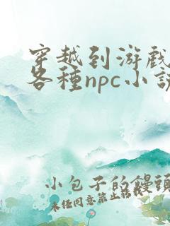 穿越到游戏里和各种npc小说