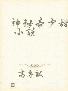 神秘帝少甜宠妻 小说