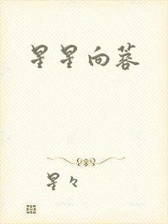 星星向蓉
