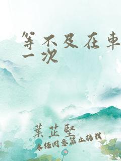 等不及在车里做一次