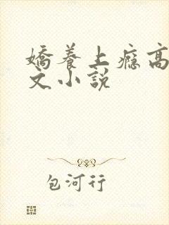 娇养上瘾高H爽文小说