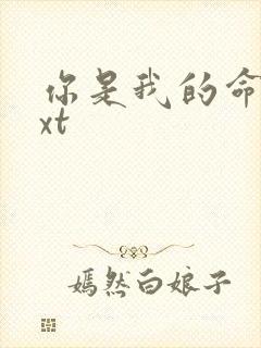 你是我的命运txt