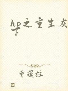 hp之重生灰猊下