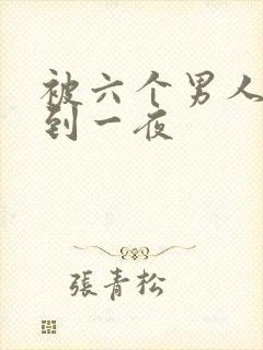 被六个男人躁J到一夜