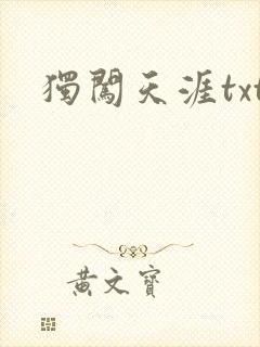 独闯天涯txt