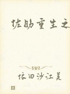 佐助重生之死神