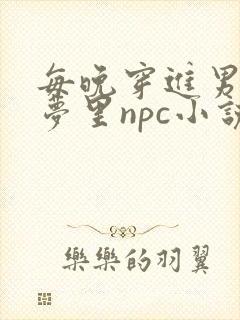 每晚穿进男神的梦里npc小说
