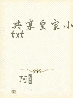 共享皇家小公主txt