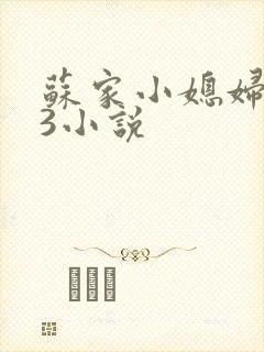 苏家小媳妇1V3小说