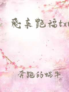飞来艳福txt