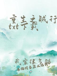 重生之贼行天下txt下载