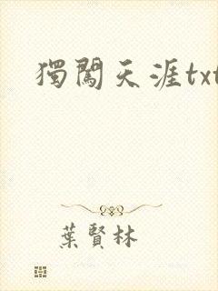 独闯天涯txt