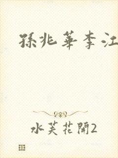 孙兆华李江小说