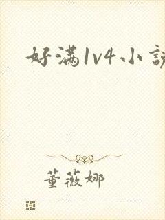 好满1v4小说