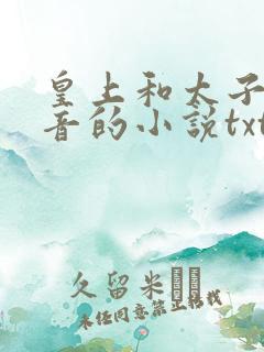 皇上和太子妃沈音的小说txt