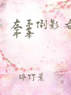 左手倒影 右手年华