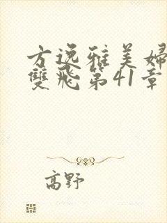 方逸雅美妇厨房双飞第41章