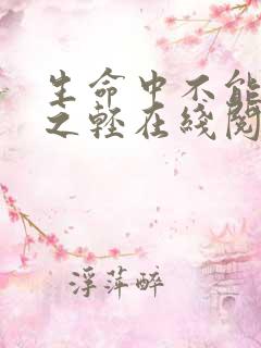 生命中不能承受之轻在线阅读