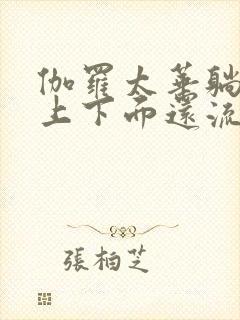 伽罗太华躺在床上下面还流东西