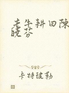 老牛耕田陈雪杨晓芬