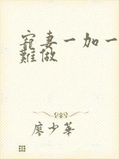 宠妻一加一老婆难做