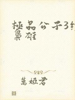 极品公子3续世枭雄