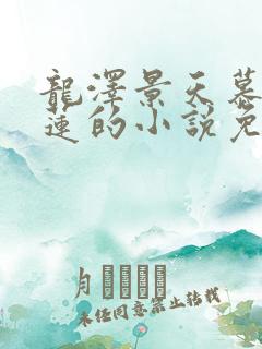 龙泽景天慕容青莲的小说免费阅读