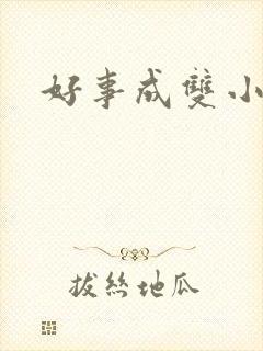 好事成双小说