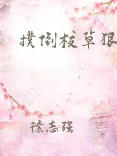 扑倒校草狠狠亲