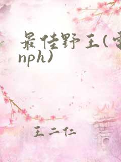 最佳野王(电竞nph)