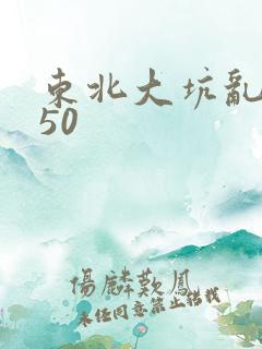 东北大坑乱1—50