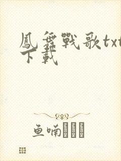 凤舞战歌txt下载