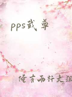 pps武尊