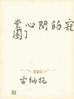 掌心间的宠[校园]