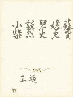 小说儿媳苏玥干柴烈火免费阅读