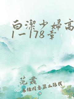 白洁少妇高义第1一178章
