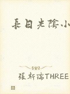 长日光阴小说